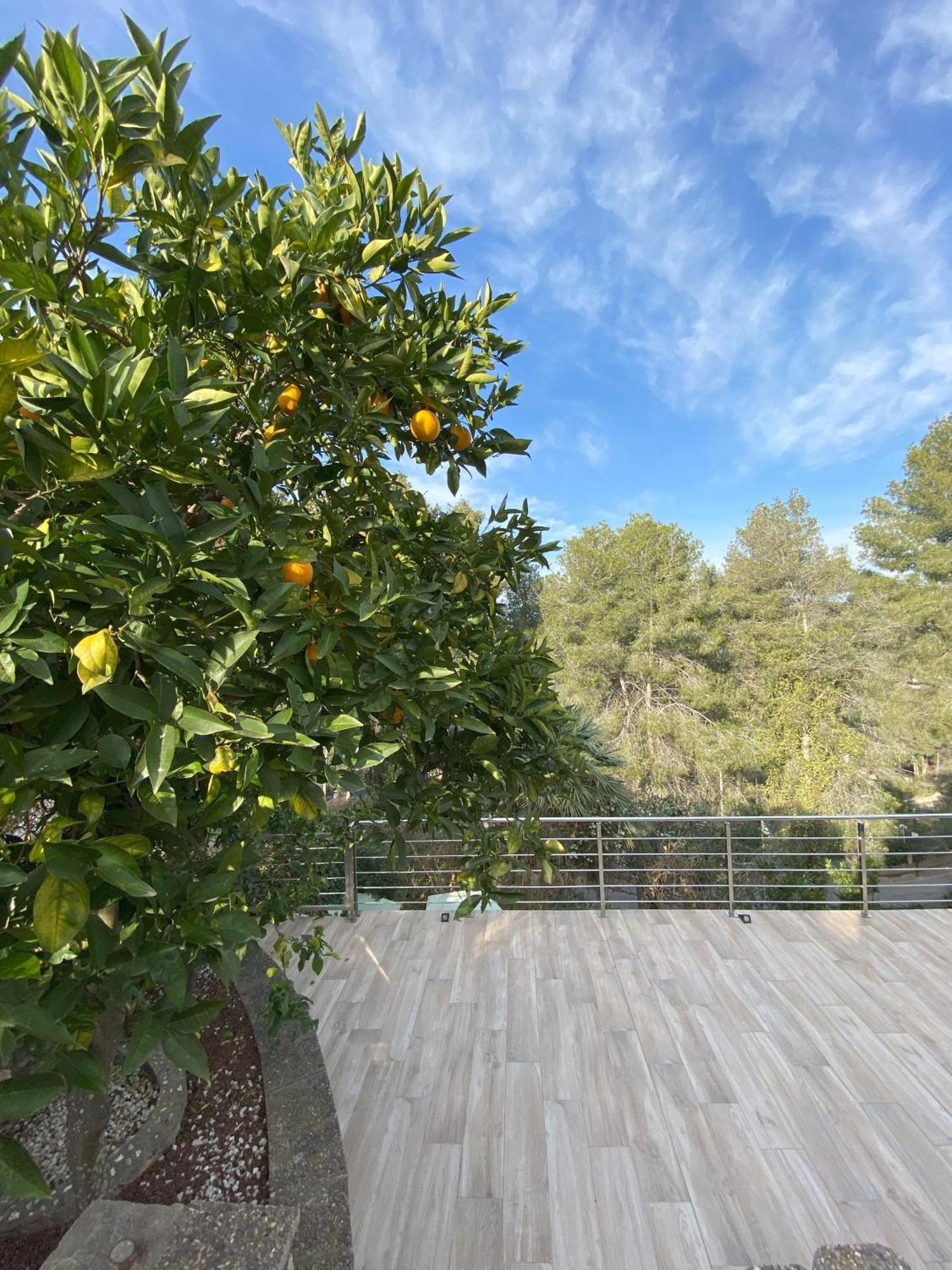 Villa Avril Piscina Privada Y Amplias Terrazas Olivella 外观 照片